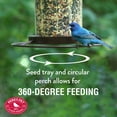 thumbnail image 2 of Perky-Pet 2 lb Small Panorama Wild Bird Feeder, 2 of 9