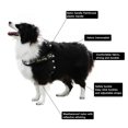 thumbnail image 2 of Adjustable Pet Dog No Pull Harnesses Collar Reflective Pet Vest Dog Supplies, 2 of 8