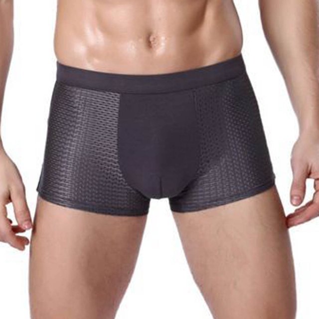 DPTALR Ice Silk Panties Briefs Breathable Nylon Mesh Boxers