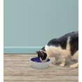 thumbnail image 4 of SPOT 5.25" Standard Crock Stoneware Cat Dish, 4 of 7