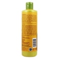 thumbnail image 3 of Alba Botanica Drink It up Coconut Milk Shampoo for Adults, Dry Hair, Moisturizing, 355 mL, 3 of 3