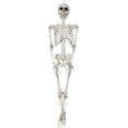 thumbnail image 1 of Sunstar Industries SKELETON 36 INCH costume, 1 of 1