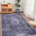 thumbnail image 1 of Anthracite Washable Rug 4x6 Area Rug (Anthracite, 4' x 6'), 1 of 5