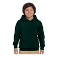 thumbnail image 1 of Hanes - Ecosmart Youth Hooded Sweatshirt, 1 of 1