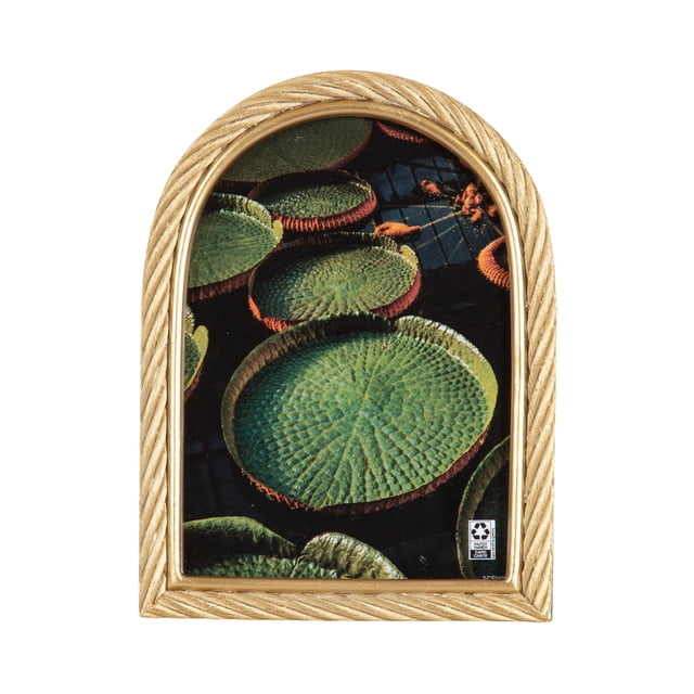 Domingo Arch Gold Rope Tabletop Picture Frame with a 5x7 arched gold braided rope design, displaying a photo of large green lily pads on dark water, featuring an attached easel for tabletop use and hangers for wall mounting, suitable for home décor or gifting.