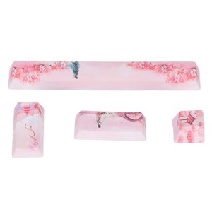 Clavier mécanique Capuchons, Capuchon Exquise Travail 5 Colle teinte latérale pour clavier mécanique