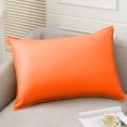 thumbnail image 1 of Todaioua Outdoor Lumbar Pillows Waterproof Pillow Covers 12x20 Inch Rustic Decorative Rectangle Solid Color Pillows with Wide Edge Cushion Cover for Patio Tent Garden Couch Balcony Spring Fall, 1 of 9