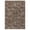 Brown, variant on FairOnly 5'x7' Solid Area Rugs Ultra Soft Washable Rug, Modern Abstract Rug with Non Slip Backing Low Pile Indoor Carpet for Living Room Bedroom Dining Room, Brown