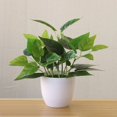 thumbnail image 4 of 2 Pcs Fresh Artificial Foliage Plant Potted Bonsai Wedding Party Mall Desktop Decor(Type 1), 4 of 9