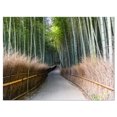 thumbnail image 2 of Straight Path in Bamboo Forest - Forest Canvas Wall Art Print, 2 of 3