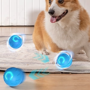 Dog Toys Bouncy Relieve Boredom Small Toy Solid Dog Toys