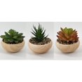thumbnail image 1 of Pot en céramique avec succulentes, 1 of 1