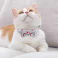 thumbnail image 4 of 2 Pack Breakaway Cat Collars with Bowtie, Safety Buckle Cat Collars with Bell, Summer Print Collars, 4 of 5