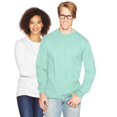 thumbnail image 1 of Hanes Beefy-T Men`s Long-Sleeve T-Shirt, M, Clean Mint, 1 of 1