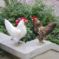 thumbnail image 2 of Dalazy Realistic Hen Model Lifelike Chicken Sculpture Animal Figurine Brown L 1Set, 2 of 6