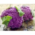 thumbnail image 1 of HJADGG 100+ Chou-Fleur Chou Modika Sicile-Légumes Violet, 1 of 8