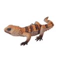 thumbnail image 3 of Figure Soft Reptile Toy Educational Toys Hand Painted Crafts Party Favors D, 3 of 9