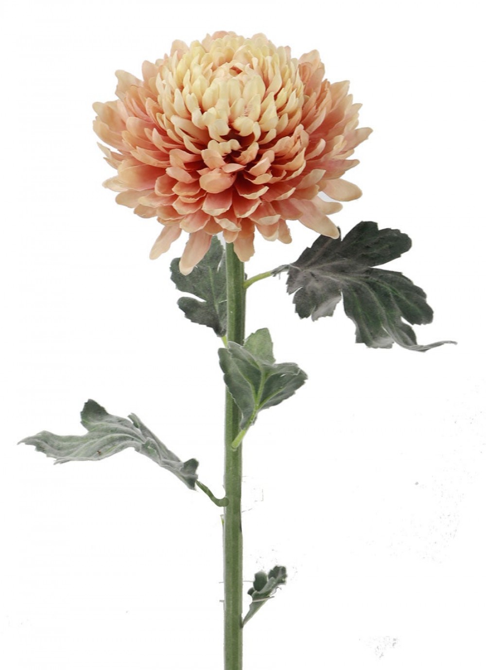 Ensemble de 2 Fleurs Artificielles Toffee Mum