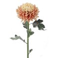 thumbnail image 1 of Ensemble de 6 Fleurs Artificielles Maman Carapace, 1 of 1