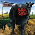 thumbnail image 1 of Blink 182 - Dude Ranch, 1 of 1
