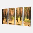 thumbnail image 2 of Beautiful Pine Forest at Sunset - Modern Forest Canvas Art, 2 of 3