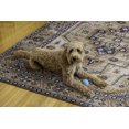 thumbnail image 4 of Tapis lavable Julian 5 pi x 7 pi ivoire et or, 4 of 8