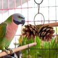 thumbnail image 3 of Birdeem Toy Pinecone Soothing Supplies, 3 of 9