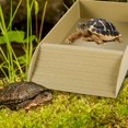 thumbnail image 3 of LNGOOR Tortoise Food Dish Reptile Water Food Bowls with Anti-Slip Ramp Reptile Water Dish Reusable Turtle Reptile Pool Tortoise Habitat Accessories for Turtles Horned Frogs and Lizards 36, 3 of 10