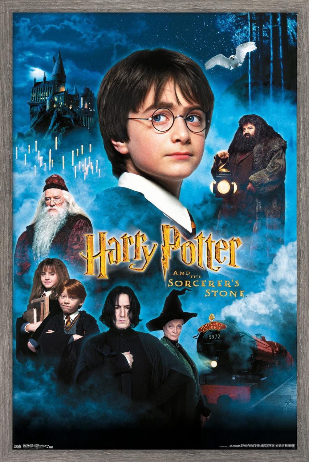 Harry Potter à l'école des sorciers - Bougies One Sheet