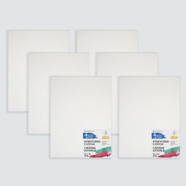 Northshore 6 pack 12x16 stretched canvas set featuring six white, 100% cotton canvases triple primed with white gesso and stapled on wood stretcher bars, offering a smooth, paint-gripping surface with minimal absorption, ideal for painting in various media.