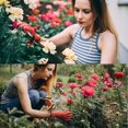 thumbnail image 4 of Garden Scissors, Pruning Shears, Non-Slip Shears, Multifunctional Branch Shears, Professional Garden Pruning Shears, 2pcs 19CM, 4 of 4