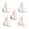 thumbnail image 1 of Ensemble de 5 Pcs de Mini Poupées Lapin en Peluche de Pâques - Décorations et Cadeaux, 1 of 4