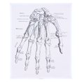 thumbnail image 1 of Miangastore Anatomical Organs Poster Chemical Fiber Canvas 1Pack 19.7X15.7In, 1 of 8