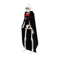 thumbnail image 2 of Squelette d'Halloween en Pose, Objets Éducatifs de Collection, Mini Squelette avec Articulations pour Noir, 2 of 9