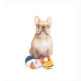 thumbnail image 3 of One Paw, coffret de jouets pour chien Boys Night, 3 of 6