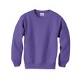 thumbnail image 1 of Hanes ComfortBlend EcoSmart Chandail à Col Rond pour Garçon, P, Violet, 1 of 2