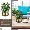 thumbnail image 3 of Iron Art Succulent Plant Pot Flower Pot Container Planter Bonsai Pots for Home, 3 of 7