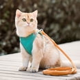 thumbnail image 4 of fastboy Soft Cat Leash And Harness Set For More Comfortable Walking Night Reflection Kitten Harness Orange Blue S, 4 of 6