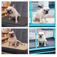 thumbnail image 3 of Reusable Beige M Size Dog Pee Pad with Superior Quilt & Mesh Cloth, Best Absorption & Odor Control, Machine Washable & Durable for Puppy Housebreaking, Incontinent Pets, Car Seats - Mess-Free, 3 of 6