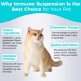 thumbnail image 4 of Welsdom Pets Supplément Liquide de Soutien Immunitaire - 60 ml / Stimulation Immunitaire Complète pour Chats et Chiens / Formule Riche en Antioxydants / Favorise la Digestion et la Récupération / Mélange Vétérinaire Facile à Administrer, 4 of 6
