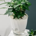 thumbnail image 2 of Binwennn Large Flower for Indoor 20 Inches Large Ceramic Vase with Handles Heart Shaped Pot Holders Self Watering Planter African Violet Pots Clear Automatic Watering Planter Flower Pot, 2 of 7
