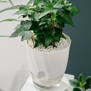 Daily Deals! Aminojy Indoor Plant Pots Self Watering Planter African Violet Pots Clear Plastic Automatic Watering Planter Flower Pot Square Plant Pot For All House Plants Succulents Herb