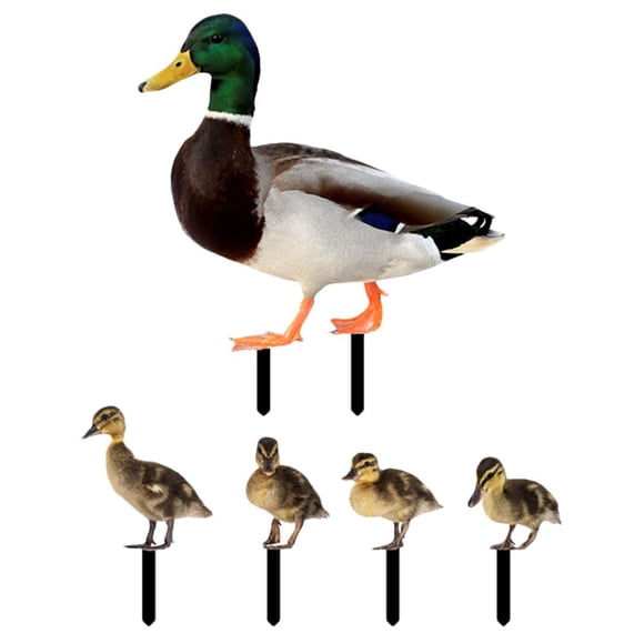 SDOTXA Canards Solaires Animaux Décoration de Jardin Insert Cour Arrière Convient à la Pelouse