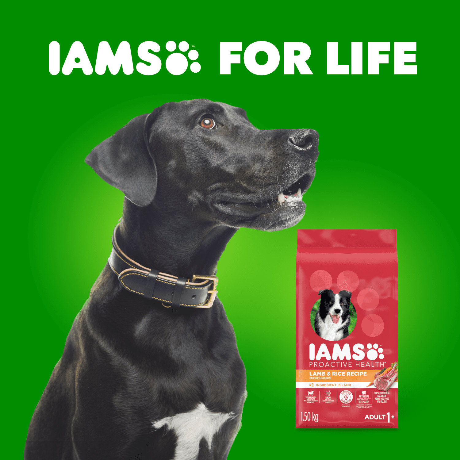 Iams Mini Bouchées Nourriture Sèche pour Chien Adulte Recette à l'Agneau et au Riz 1.5kg