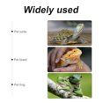 thumbnail image 2 of Shisuyan Pet Reptile Terrarium Rectangular 1Pcs 9.8x5.9x5.9in, 2 of 8