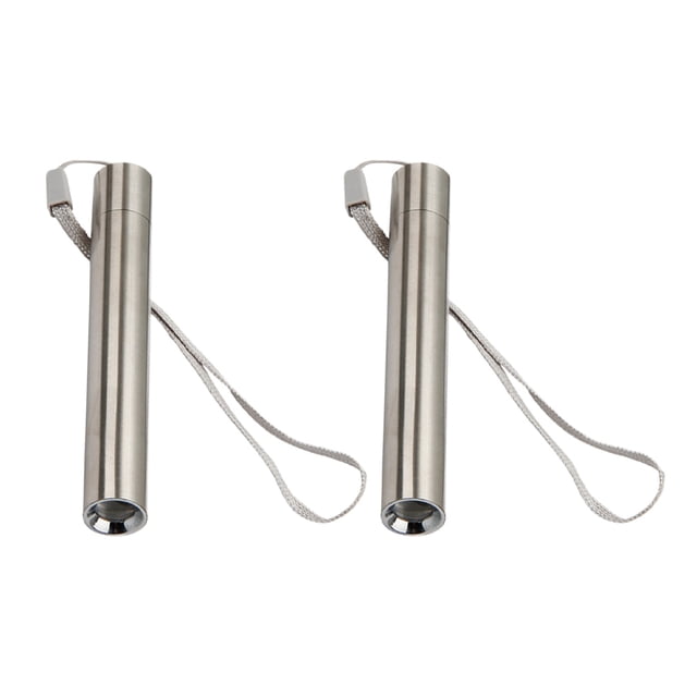 2 Pcs Lampes de Détection Fluorescentes Lampes de Poche de Détection d'Agent Fluorescent