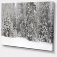 thumbnail image 3 of Designart Foggy Winter Forest Panorama Canvas Wall Art, 3 of 4