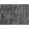 thumbnail image 1 of Ahgly Company Machine Washable Indoor Rectangle Transitional Platinum Gray Area Rugs, 6' x 9', 1 of 7