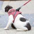 thumbnail image 2 of TIMIFIS Cat Harness Cat Traction Rope Vest Type Antibreakaway Cat Special Chest Strap Vest Style Cat Harness And Leash - Fall, 2 of 4