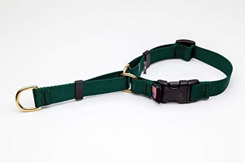 MPP Deluxe Martingale Dog Collar Adjustable Heavy Soft Brass Hardware (Small 14 to 18 Inches, Forest Green)